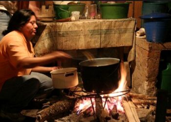 Pobreza energética con perspectiva de género