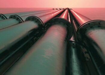 Servicios en el SISTRANGAS de los que no se habla