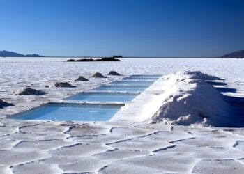 Costará 300 millones de dólares empresa del Estado para explotar litio