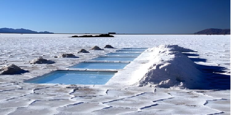 Costará 300 millones de dólares empresa del Estado para explotar litio