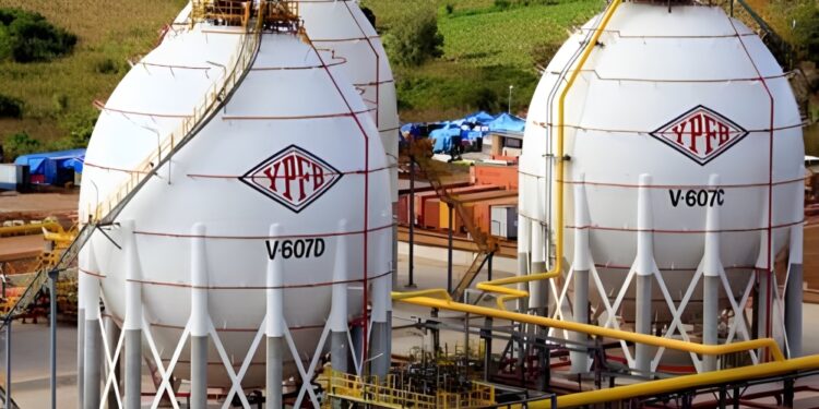 Gas argentino evitará costoso GNL en la región