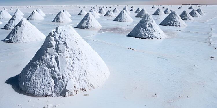 Empresa pública para el litio estaría más cerca de Uramex que de Pemex y CFE