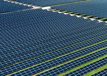 Acciones que restan minutos al reloj del cambio climático, ¿son suficientes?