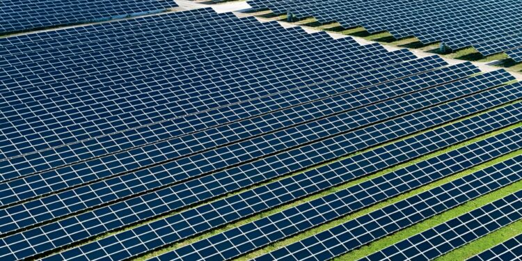 Acciones que restan minutos al reloj del cambio climático, ¿son suficientes?