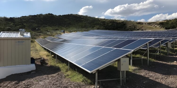 Firman alianza Solarever y LONGi para desarrollar energía fotovoltaica en el país