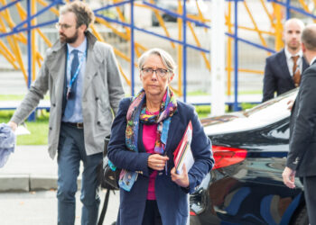 Comprará gobierno francés la totalidad de las acciones de EDF