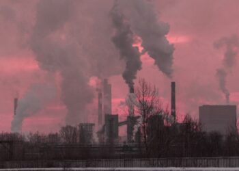 Consultas al TMEC. Parte tercera de cuatro