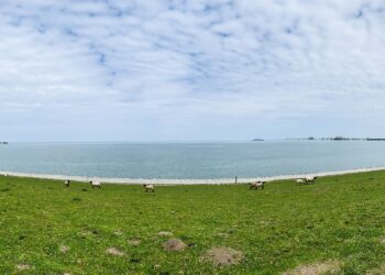 Construirán Wintershall y NWO planta de hidrógeno azul en Alemania