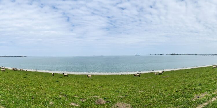 Construirán Wintershall y NWO planta de hidrógeno azul en Alemania