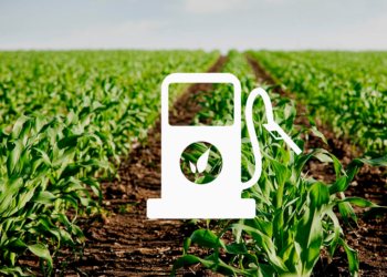 Tendría Pemex ahorros por 18 mil millones de pesos por uso de bioetanol