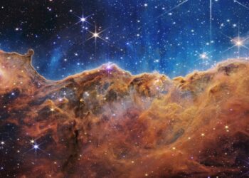 La ciencia en medio de la confusión