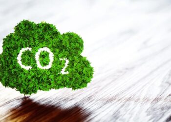 Compra Vemo 11 mil bonos de carbono