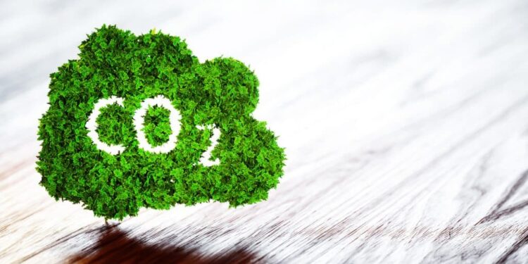 Compra Vemo 11 mil bonos de carbono