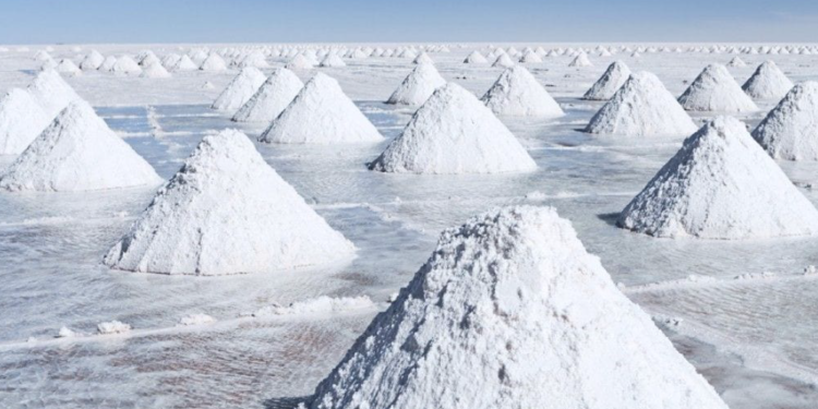 Revela Nahle nombre de empresa mexicana del litio