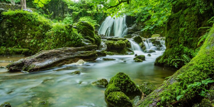 Detiene tribunal proyecto fotovoltaico en Yucatán