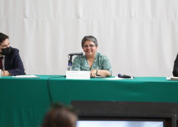 Raquel Buenrostro deja el SAT para ser la nueva SE