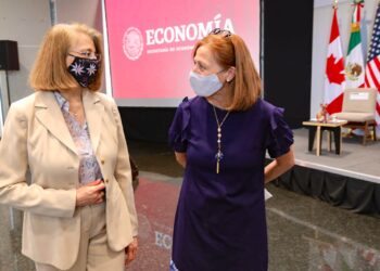 Piden renuncia a subsecretaria de Comercio Exterior