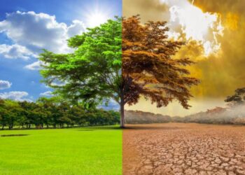 cambio climatico energia enel