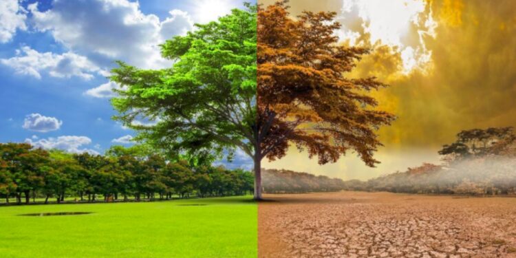 cambio climatico energia enel