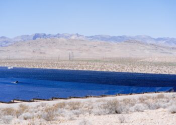 México tiene la capacidad de ser líder en bonos de carbono: Shell