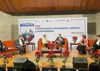 cdmx educacion energia rosaura ruiz