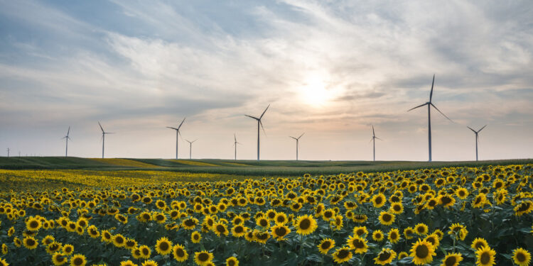 Exigen acciones inmediatas para lograr la transición a una descarbonización