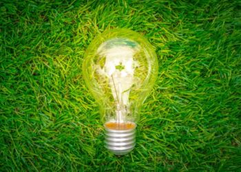 Empresas impulsan medidas sustentables para lograr una descarbonización