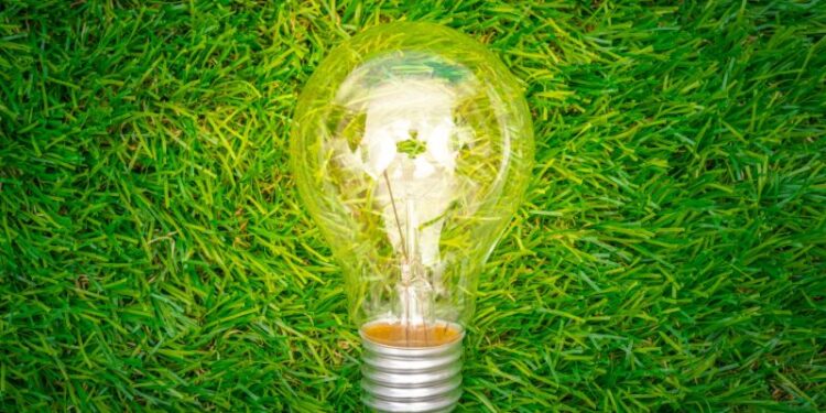 Empresas impulsan medidas sustentables para lograr una descarbonización