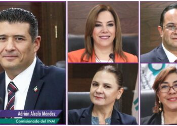 inai acceso a la informacion transparencia dos bocas