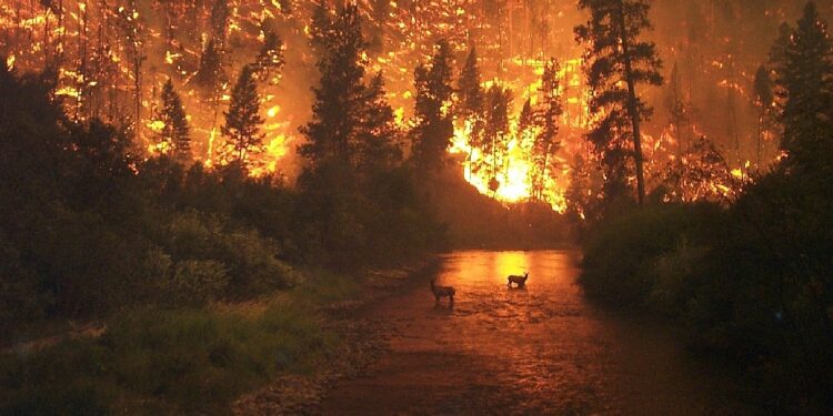 México, entre los 10 países con más riesgos climáticos