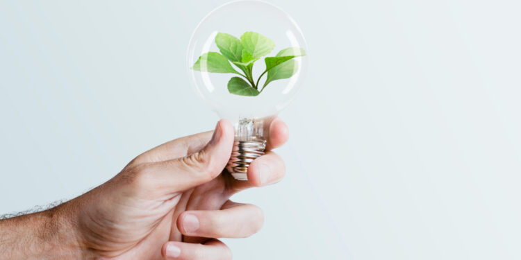 Académicos de la UNAM señalan los retos de la transición energética