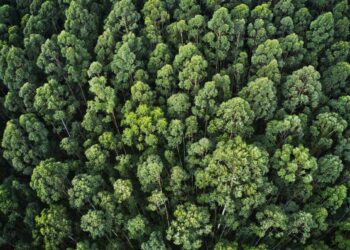México y Uruguay impulsan infraestructura satelital para reducir emisiones de CO2
