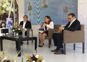 microrredes electricidad foro energetico poblano