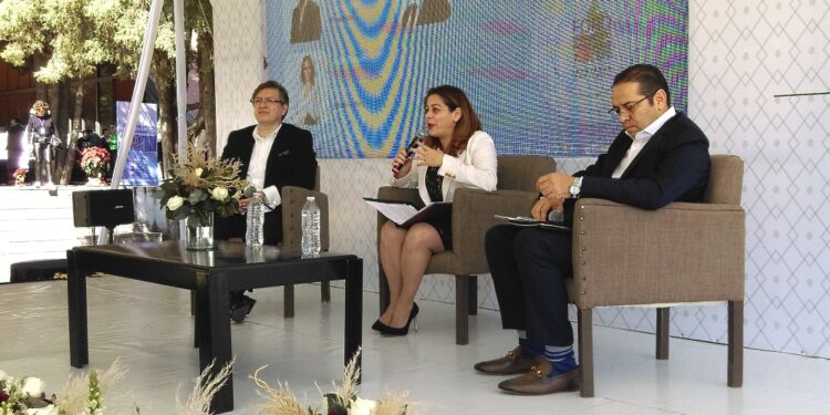 microrredes electricidad foro energetico poblano