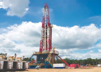 pemex bushel zapotalillo pozos 2