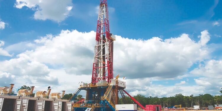 pemex bushel zapotalillo pozos 2