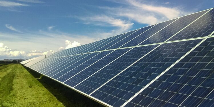 zuma solar potrero jalisco