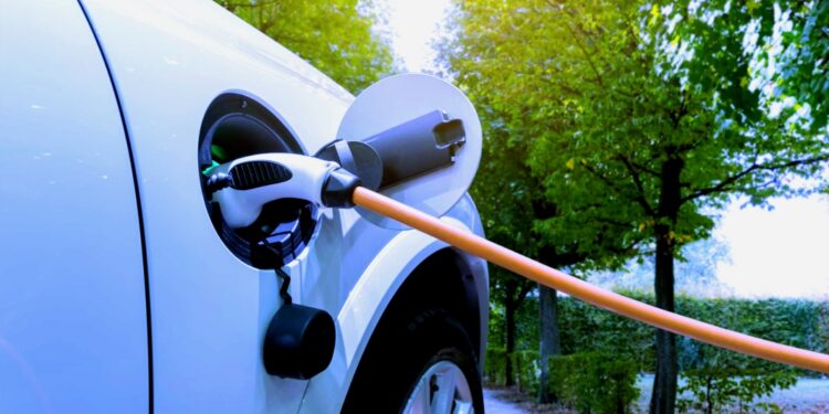 1 autos electricos mercado global