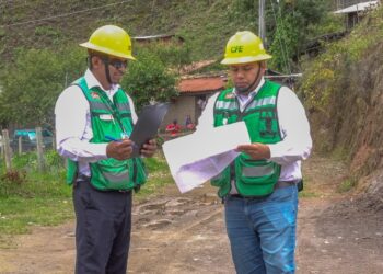 Banco de desarrollo de AL otorga a CFE una línea de crédito por 200 mdd