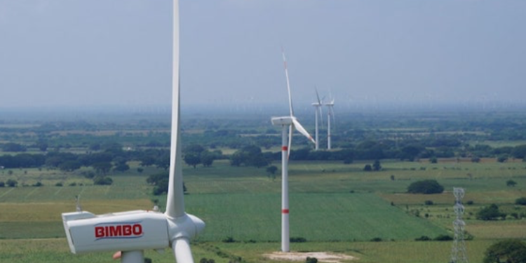 Reconocen a Grupo Bimbo por sus acciones en contra del cambio climático