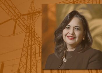 norma pina scjn sector energetico