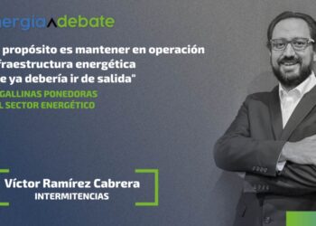victor ramirez gallinas ponedoras sector energetico
