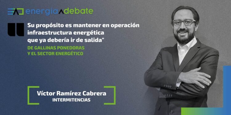 victor ramirez gallinas ponedoras sector energetico