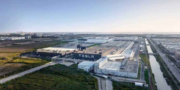 Tesla podría llegar a Hidalgo, dice AMLO