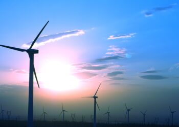 amdee regulacion plazos terminos legales