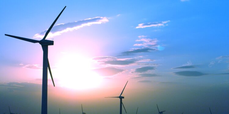 amdee regulacion plazos terminos legales