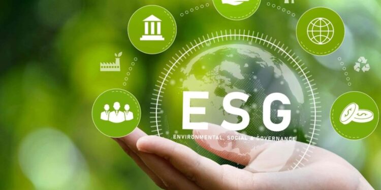 esg organizaciones sustentabilidad