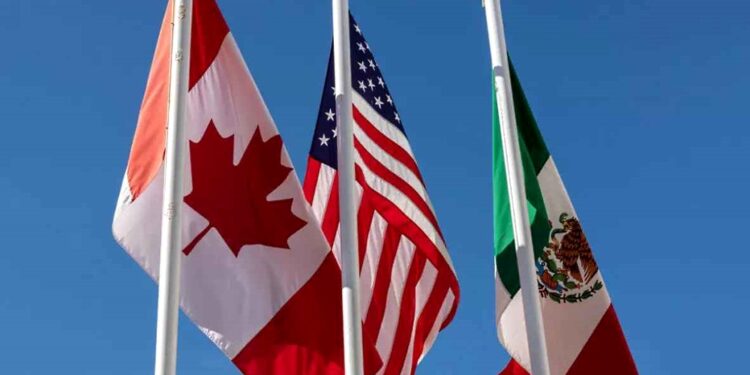 Tres años después, ¡CRE levanta plazos legales!.. pero con condiciones