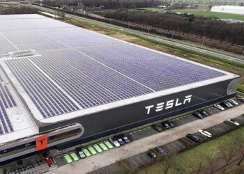 tesla concamin amlo elon musk