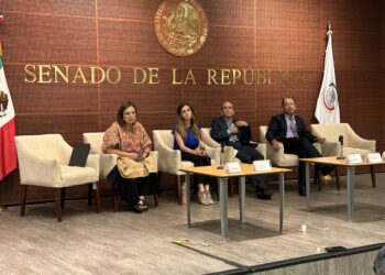 La política energética actual no tiene congruencia: ICM